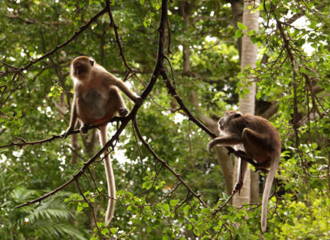 Krabi - Railay Beach