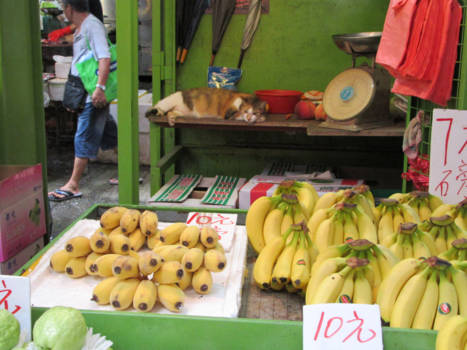 Hong Kong - Watching those crazy people