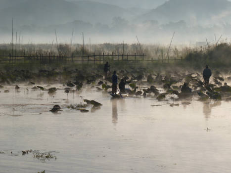 Myanmar - vissers bij het ochtendgloren op Inle lake.
