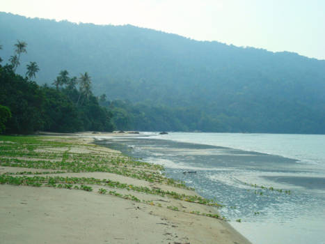 Maleisië - Een verlaten strand van Borneo
