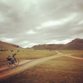 Mongolië - Crossway's in Mongolia