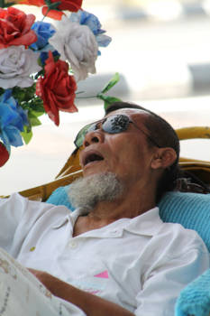 Maleisië - sleeping beauty