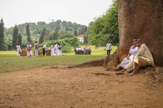 Sri Lanka - sunday's picknick monet style