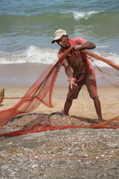 Sri Lanka - achter het net gevist