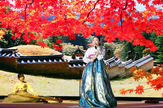 Zuid-Korea - Lively fall in Korea