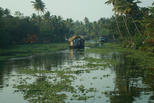 India - De backwaters van Kerala