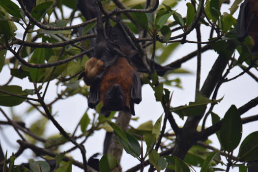 Hikkaduwa - Hey you there!