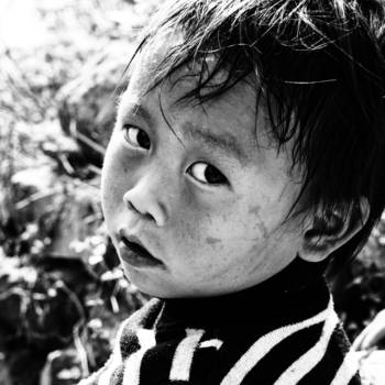 Sapa - What are you thinking?