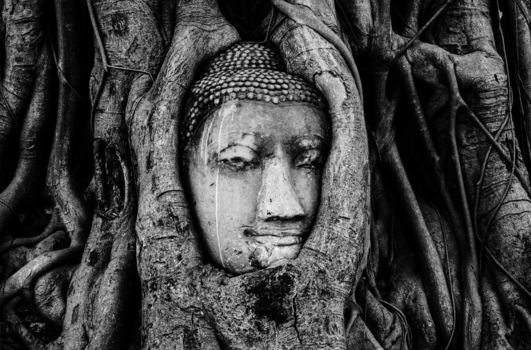 Ayutthaya - Wat Phra Mahathat