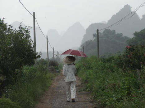 Yangshuo - Rainy morning in the rice fields