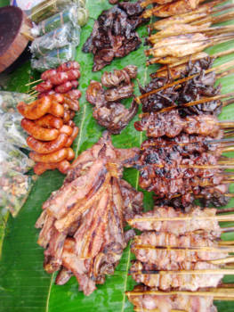Laos - Lekker geroosterd vlees!