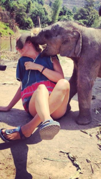 Chiang Mai - Olifantenknuffel!