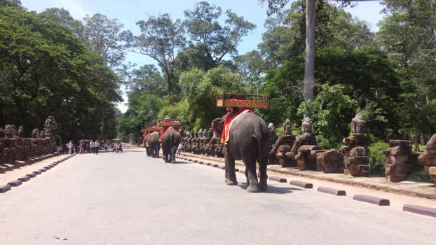 Siem Reap - Olifanten op de brug, cambodja. Ankors wat tempels