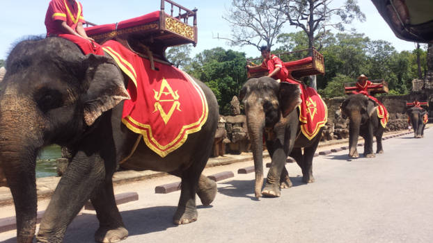 Angkor Wat - Cambodjaanse Ankor Wat olifanten op de brug...