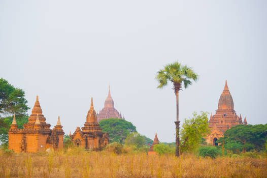 Myanmar - tempels in Bagan