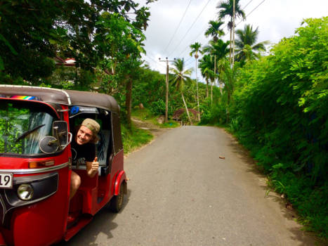 Sri Lanka - Bentota, tea plantage