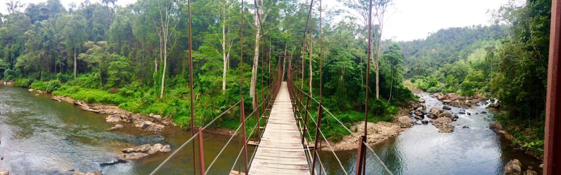 Sri Lanka - Sinhiraja rain forest