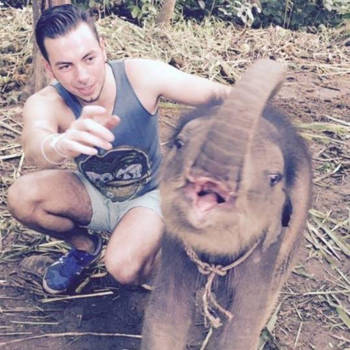 Chiang Mai - Cute 7 weeks old elephant:"Catch me if you can"!