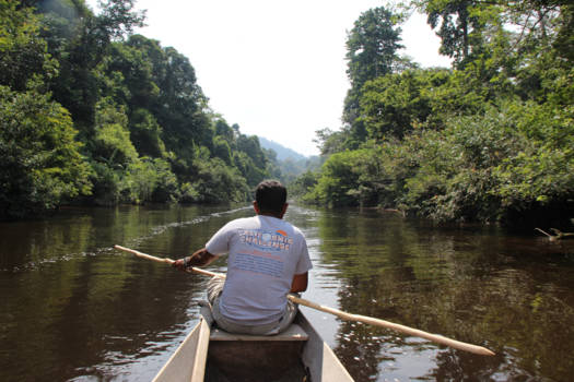 Taman Negara National Park - Heerlijke houten boottocht door het tropisch regenwoud