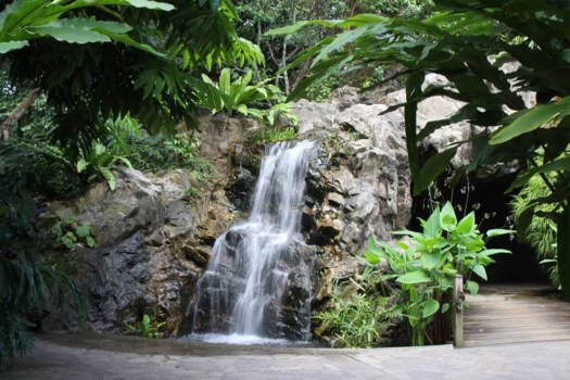 Botanical Gardens - Schitterende botanische tuin!