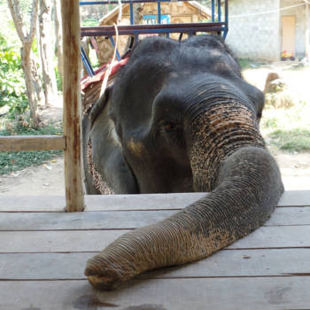 Thailand - Koh Lanta