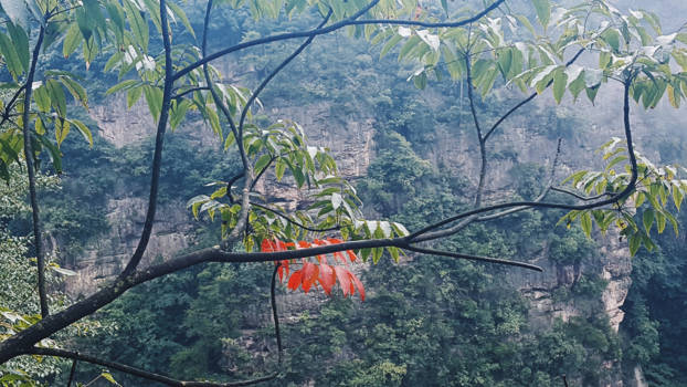 China - Nature is awesome!