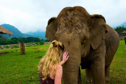 Thailand - With Jokia a blind elephant! 