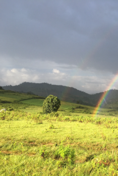 Kalaw - Out In The Rain