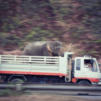 Thailand - On the road