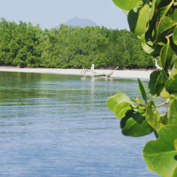 Filipijnen - Puerto Princesa