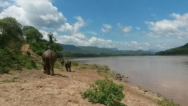 Laos - Mekong