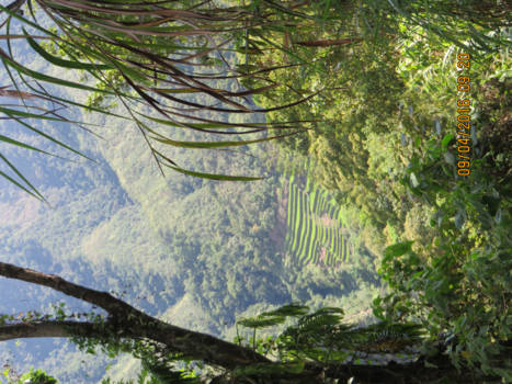 Filipijnen - De adembenemende Rice Terraces@Ifugao Fillipijnen