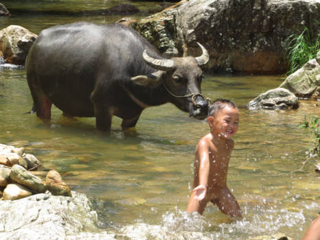 Sapa - Spelen in de natuur