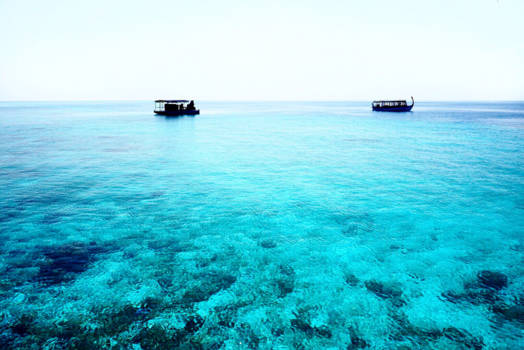 Malediven - Malediven | Vissersbootjes