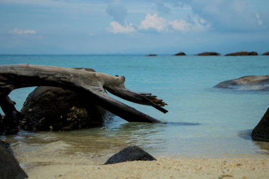 Maleisië - Relaxen op een van de prachtigste stranden!