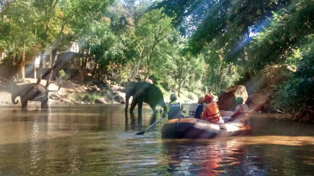 Chiang Mai - Jungle Book Chang Mai