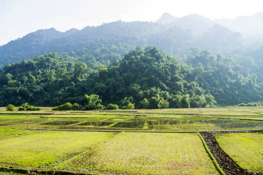 Vietnam - Ba be Lake, noorden van Vietnam