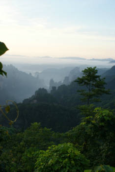 China - The National Forest Park in Zhangjiajie, China
