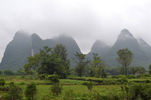 Yangshuo - Rice fields in front of Yangshuo mountain scenery