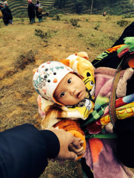 Sapa - First encounter: A living teddy bear