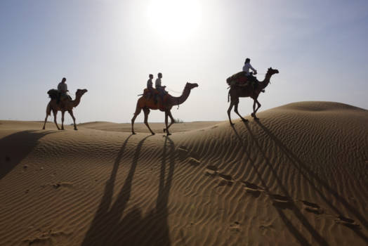 Jaisalmer - De schepen van de woestijn