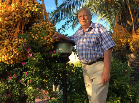 Turkije - Onder de stralende zon bij de palmbomen