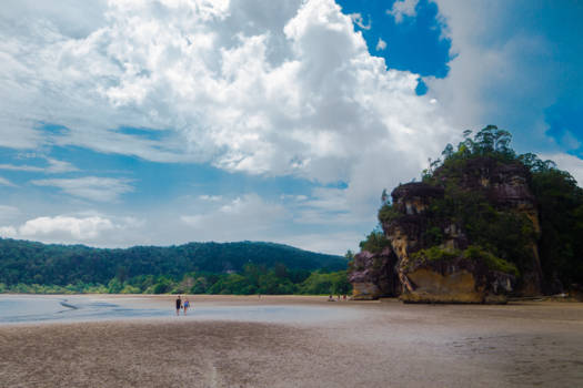 Bako National Park - Zoektocht naar de neusaap