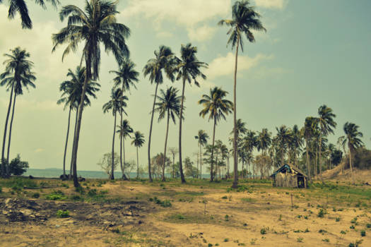 Cambodja - Genieten van het primitieve!