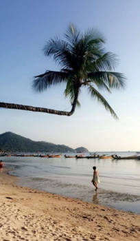 Koh Tao - Thailand ~ Koh Tao