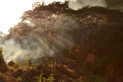 Chiang Mai - Nice surprise