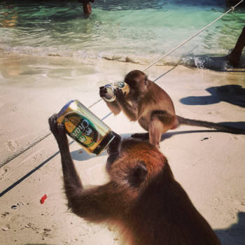 Koh Phi Phi - Monkey Beach