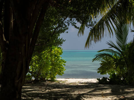 Malediven - malediven medufushi