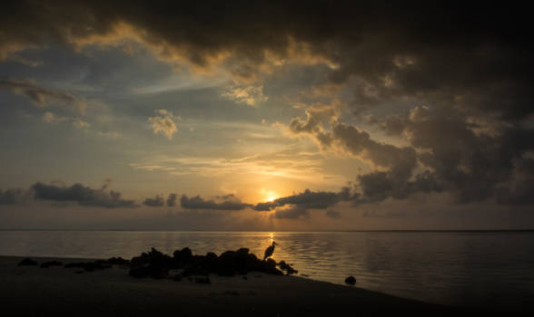 Malediven - malediven medufushi