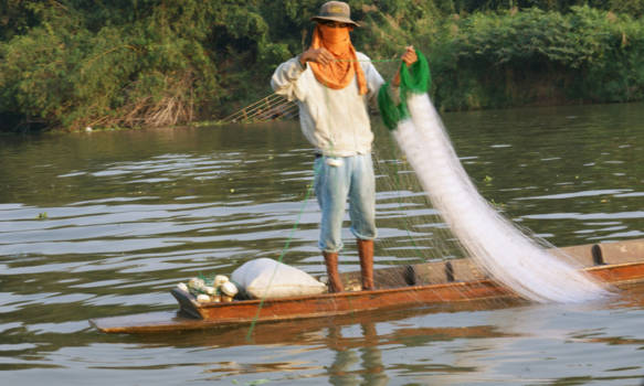 Ayutthaya - de visser